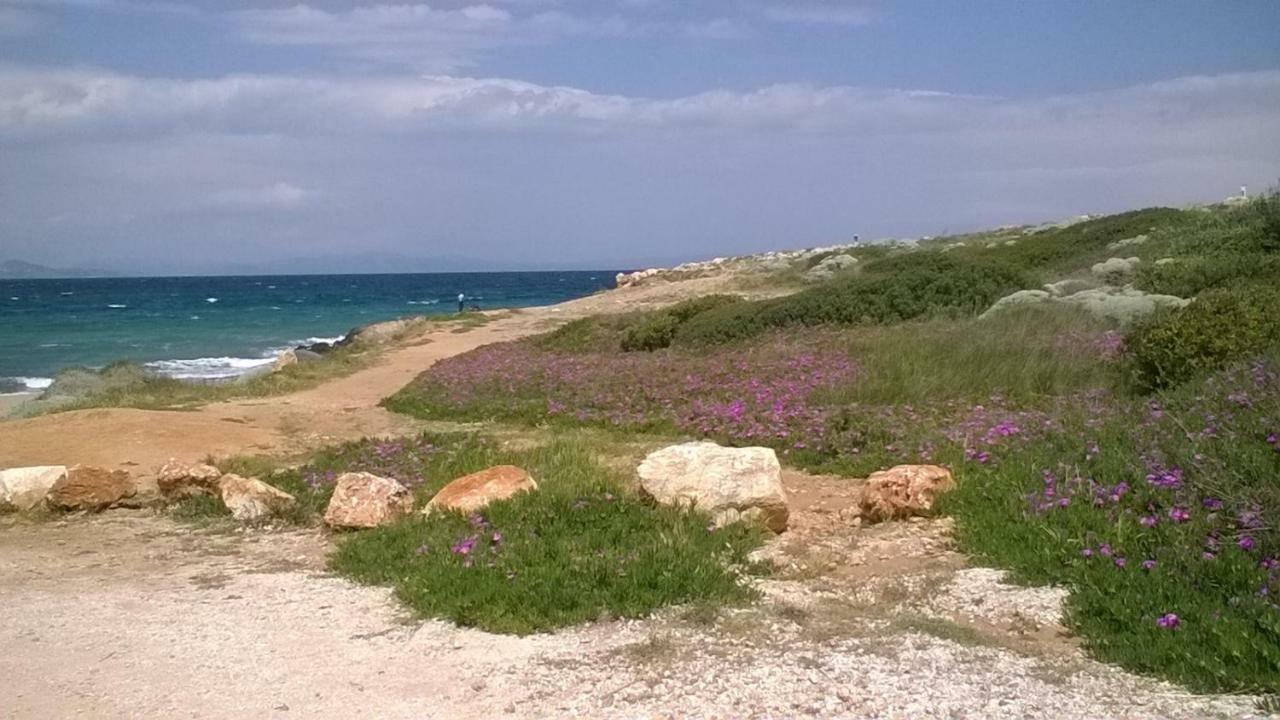 Nireos Proteos 20 Lägenhet Rafína Exteriör bild