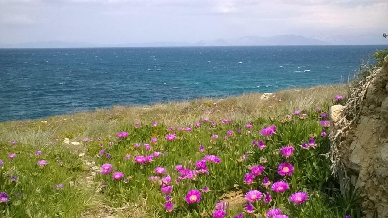 Nireos Proteos 20 Lägenhet Rafína Exteriör bild